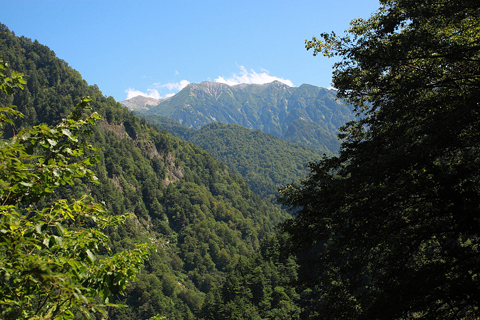 a0148606_187379.jpg