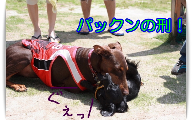 e0100007_216140.jpg