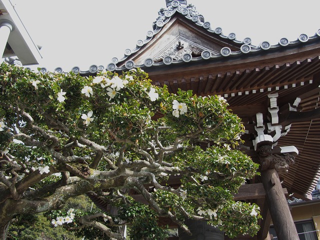 d0154609_10575553.jpg
