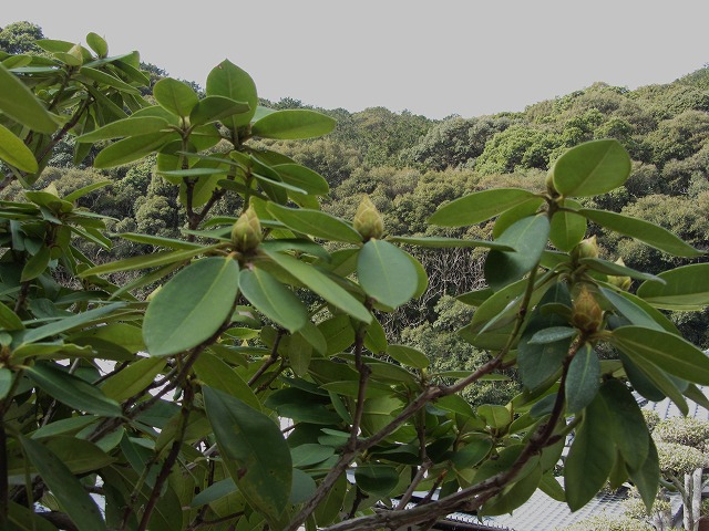 d0154609_110481.jpg