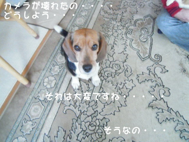 c0166622_12463735.jpg