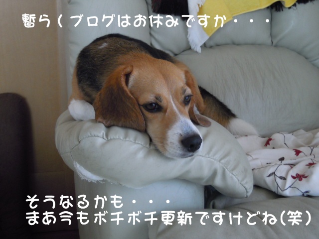 c0166622_1248059.jpg