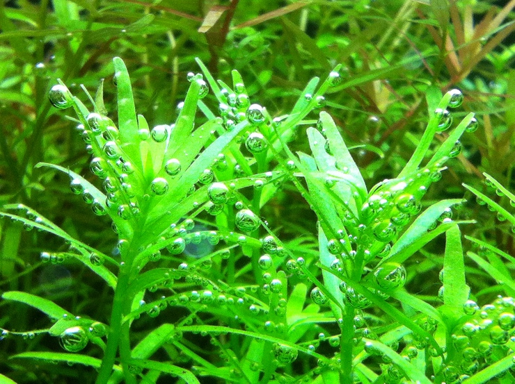 c0250835_15533173.jpg