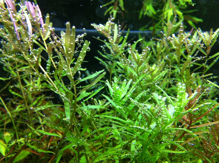 c0250835_15543683.jpg
