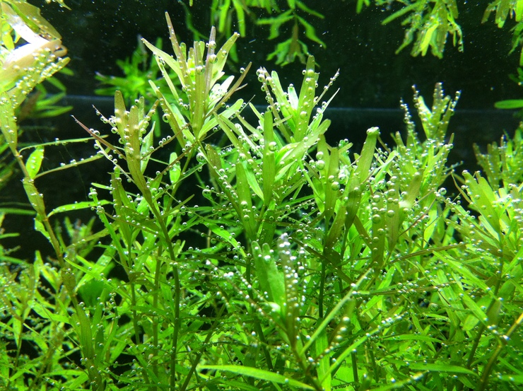 c0250835_1555186.jpg