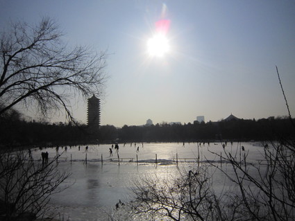 e0066135_038129.jpg