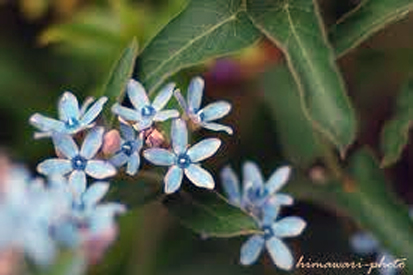a0245136_838169.jpg
