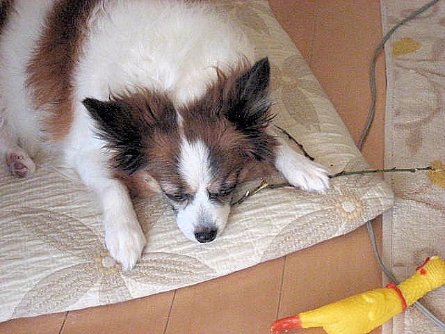 a0149240_8364254.jpg