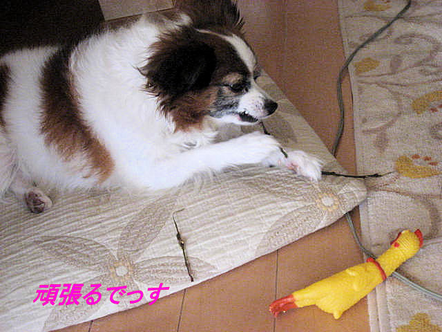 a0149240_8375727.jpg
