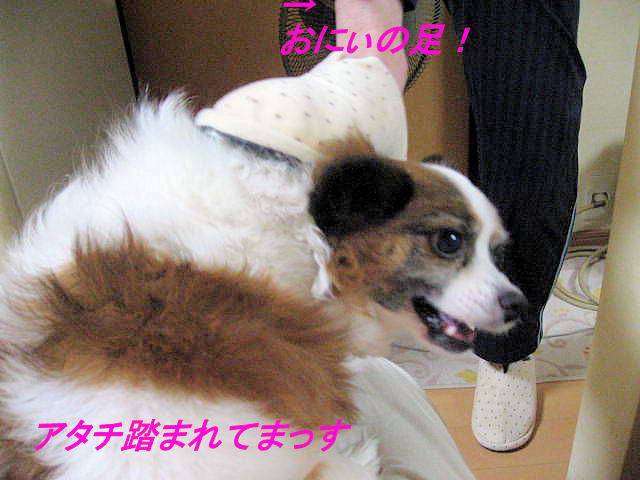 a0149240_8432268.jpg
