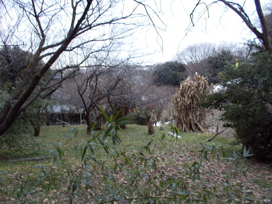 e0121548_2044978.jpg