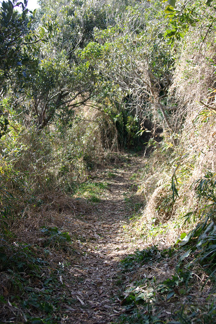 c0080357_12554152.jpg