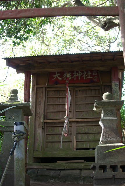 c0080357_1257178.jpg