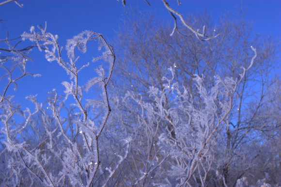 f0239659_04741.jpg