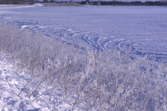 f0239659_05947.jpg