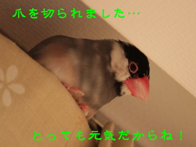 b0158061_2281513.jpg