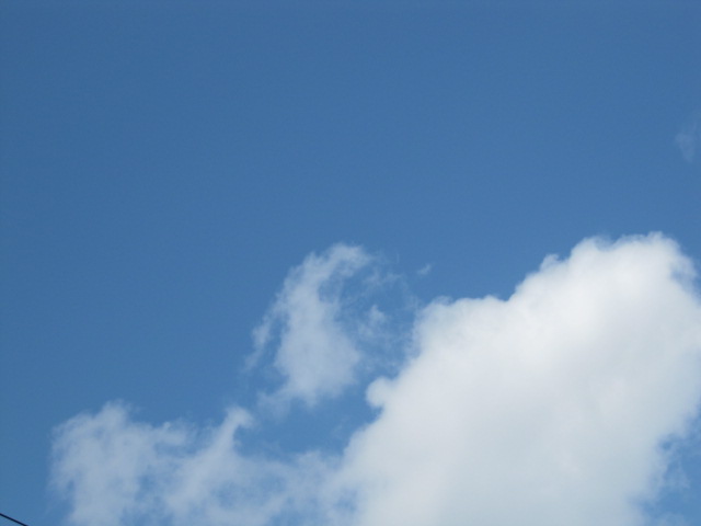 a0256770_1727312.jpg