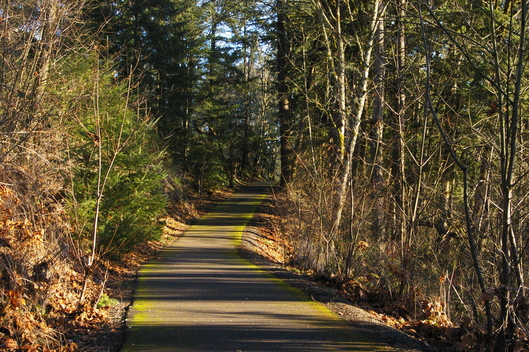 f0112080_1504540.jpg