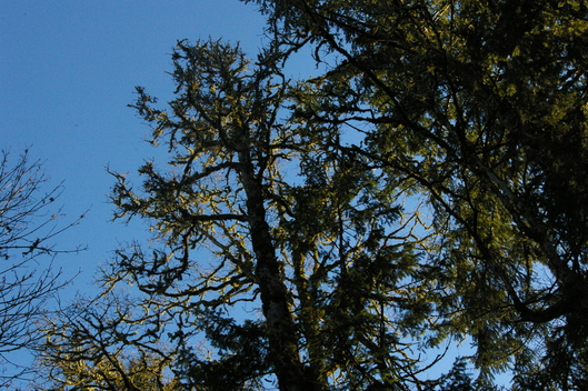 f0112080_1515190.jpg
