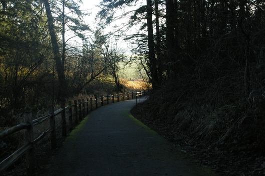 f0112080_1533772.jpg