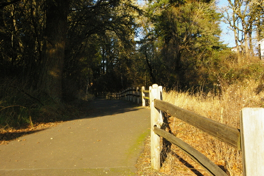 f0112080_1555195.jpg