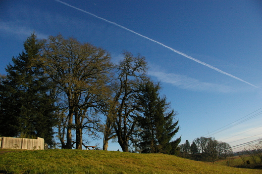 f0112080_1571032.jpg