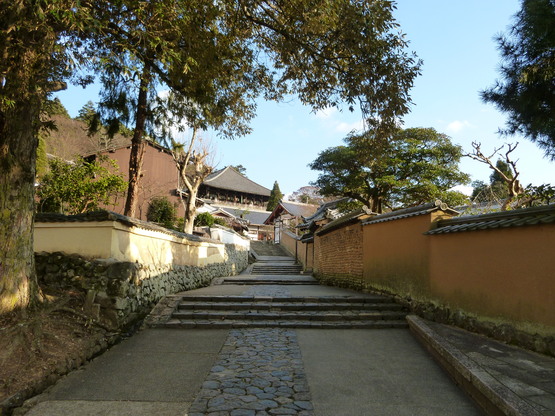 e0307890_1652772.jpg