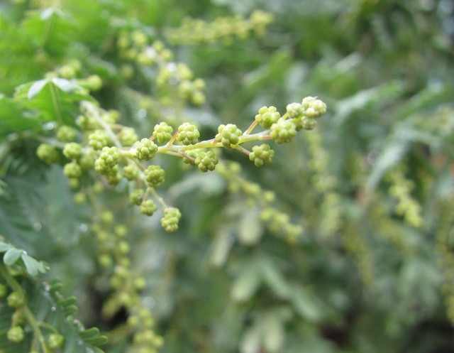 b0194593_22451829.jpg