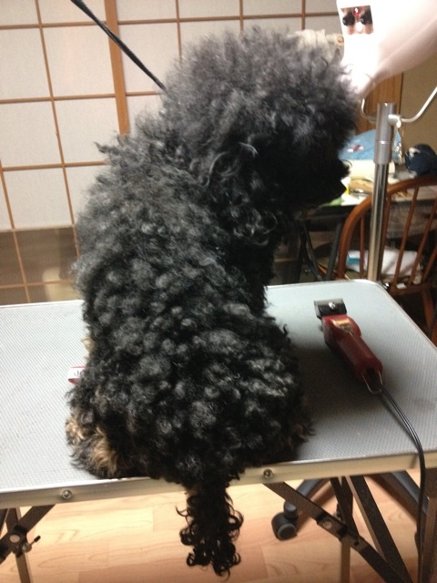 b0237894_10362196.png