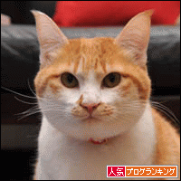 人気ブログランキングへ