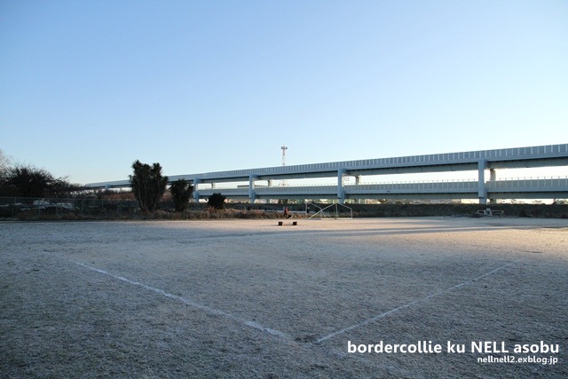 b0204498_10545339.jpg