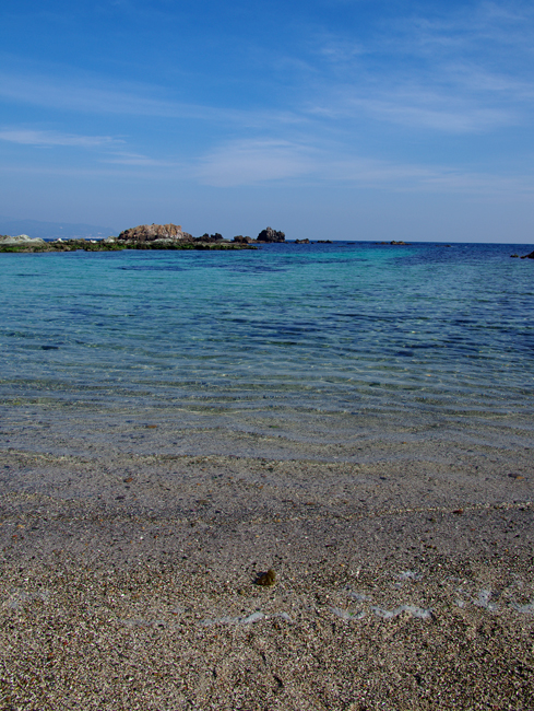 a0184303_20334848.jpg