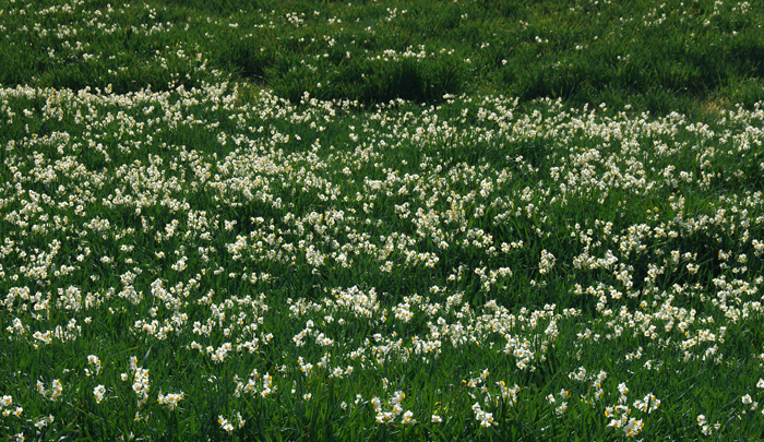 a0184303_20374876.jpg