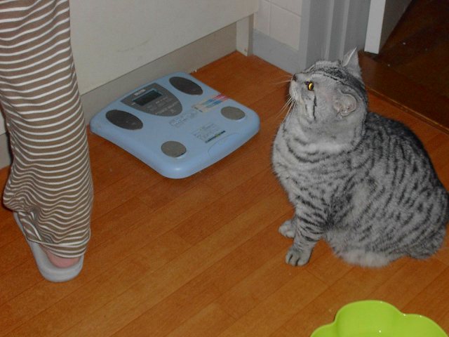 c0187403_1573231.jpg