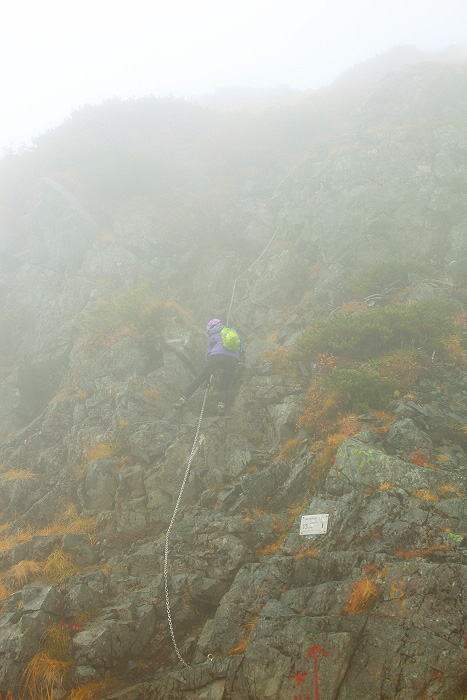 a0148606_2014061.jpg