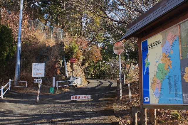 d0154609_11195714.jpg