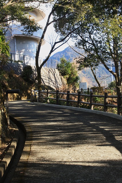 d0154609_11214115.jpg