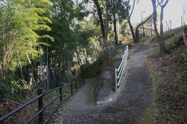 d0154609_11374222.jpg