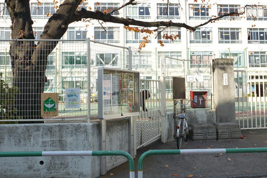 f0194512_214040.jpg