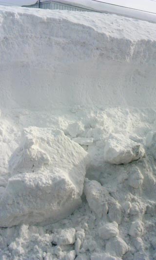 d0072917_22585397.jpg