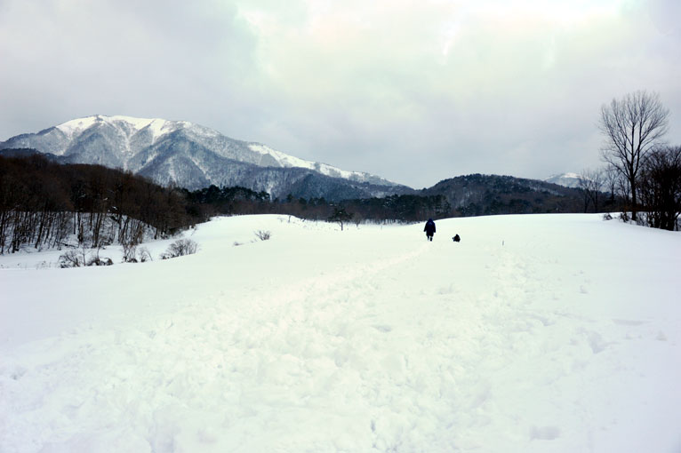 b0075541_22274135.jpg