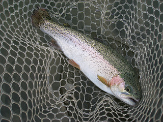 f0065341_16174276.jpg