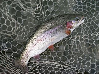 f0065341_16175486.jpg