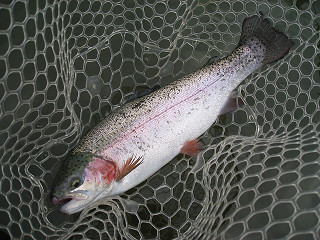 f0065341_16181937.jpg