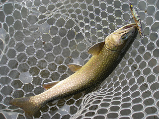 f0065341_16184554.jpg