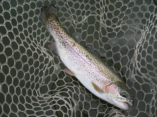 f0065341_1618854.jpg