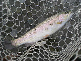 f0065341_16203462.jpg