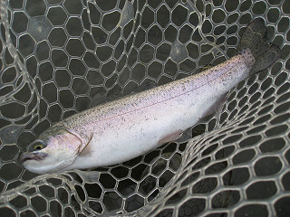 f0065341_16205499.jpg