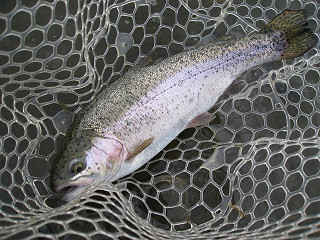 f0065341_16212258.jpg