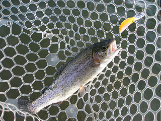 f0065341_1672566.jpg
